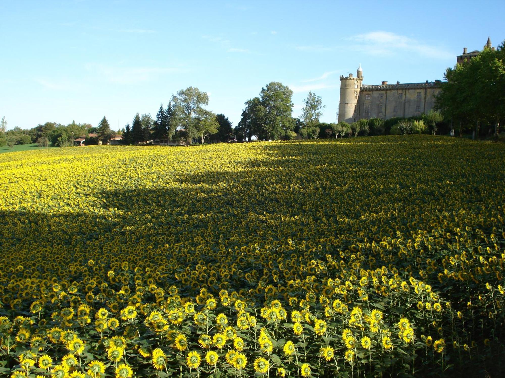Relais du Château Saint-Blancard Exterior foto